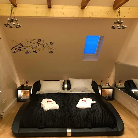 Cats Dreams * Bottrop