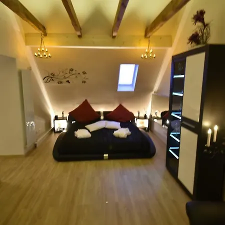 Cats Dreams Apartment