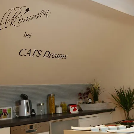 Cats Dreams *