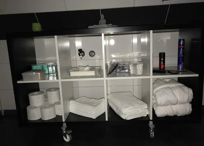 Lejlighed Cats Dreams