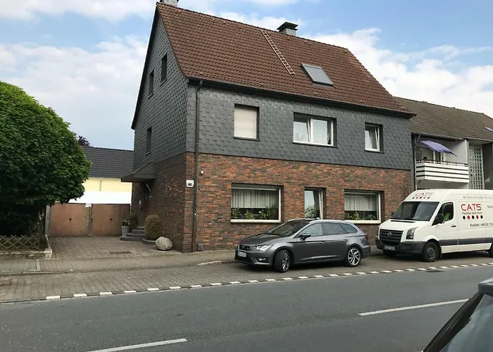 Cats Dreams * Bottrop